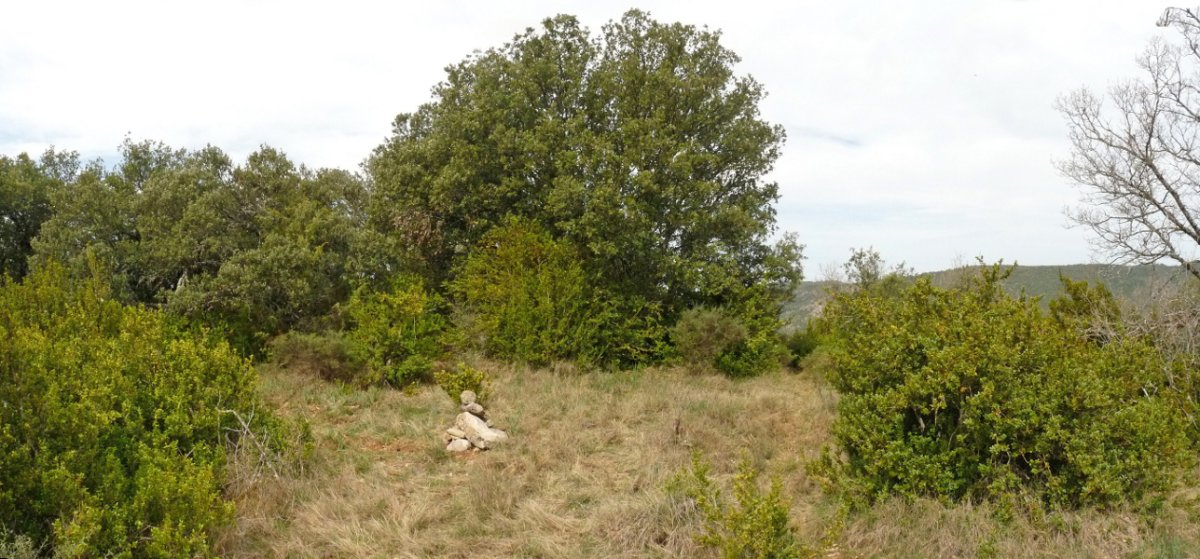 Boyeral-Larekiko gailurra