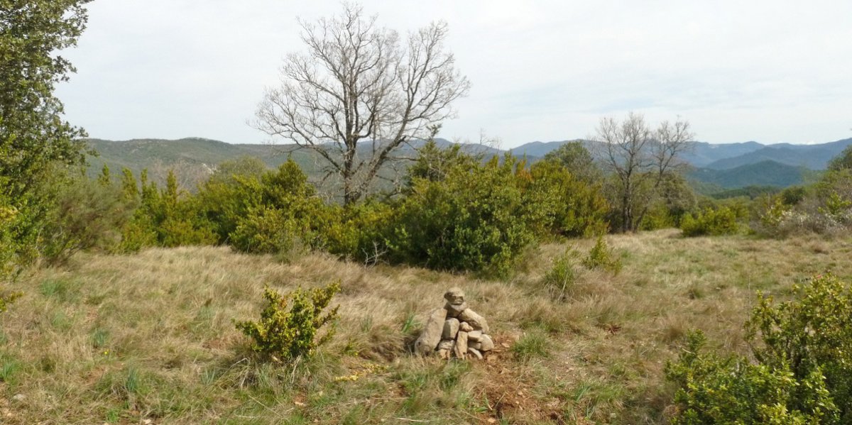 Boyeral-Larekiko gailurra