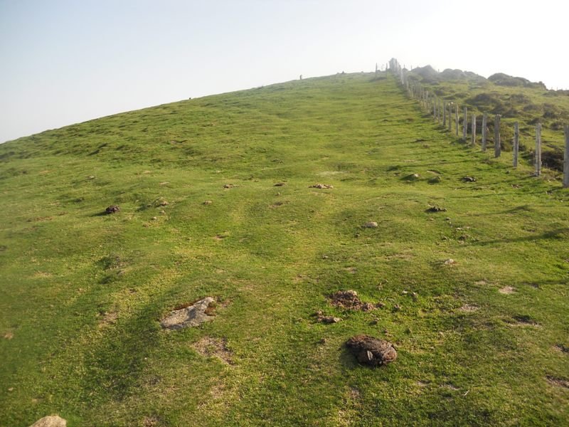 Arritxulangaña hego (Gipuzkoan)