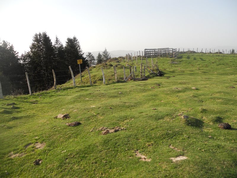 Arritxulangaña hego (Gipuzkoan)