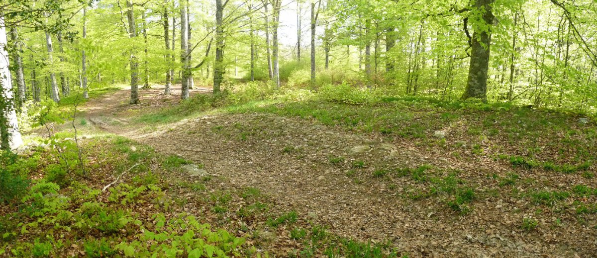 Urdantxarreta trikuharriaren hondakinak