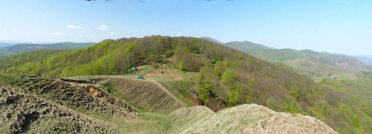 Mendiaundi edo Kurutxispileko lepoa
