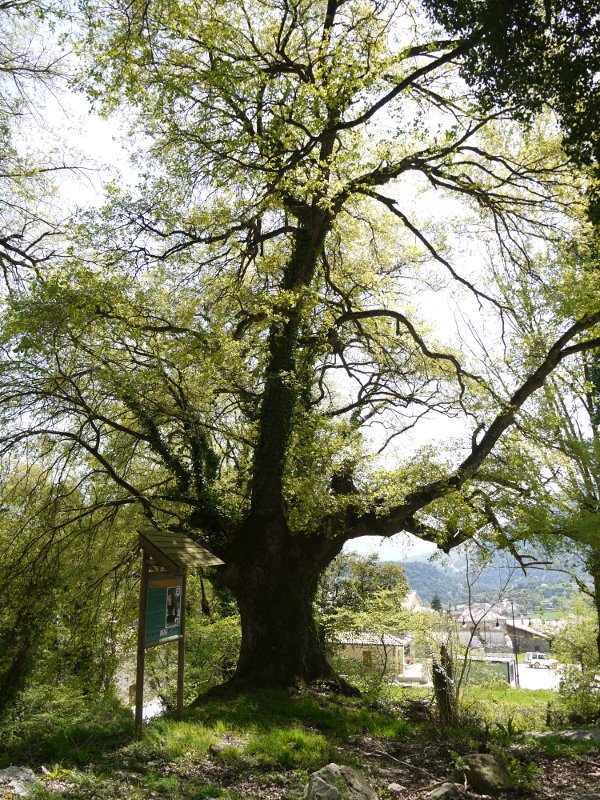 Zentinela Zudaire aldean