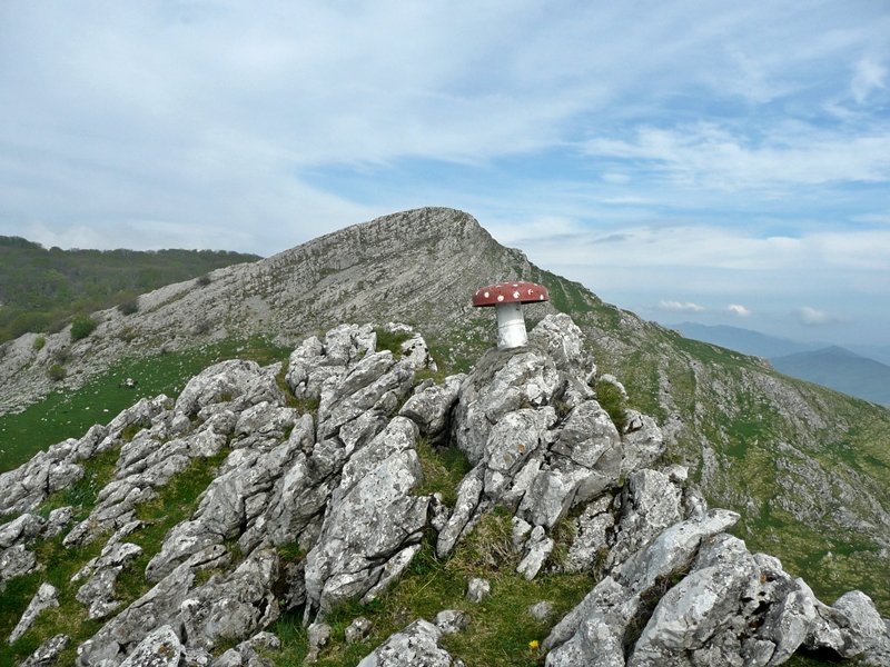 Albortako Tontorra.Atzean,Ttutturre