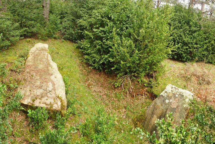 Fuente de la pilako zutarria