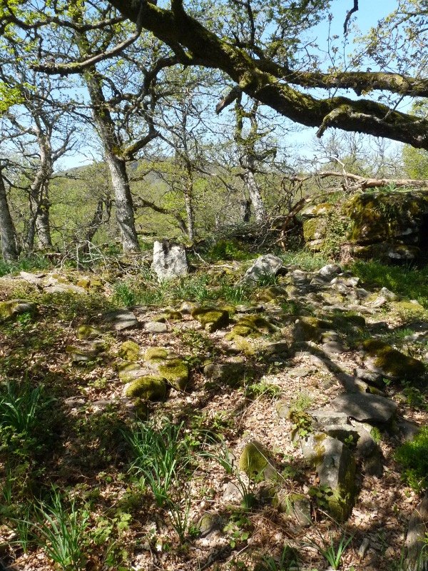 Etxoltxarraldea 2 ekialde