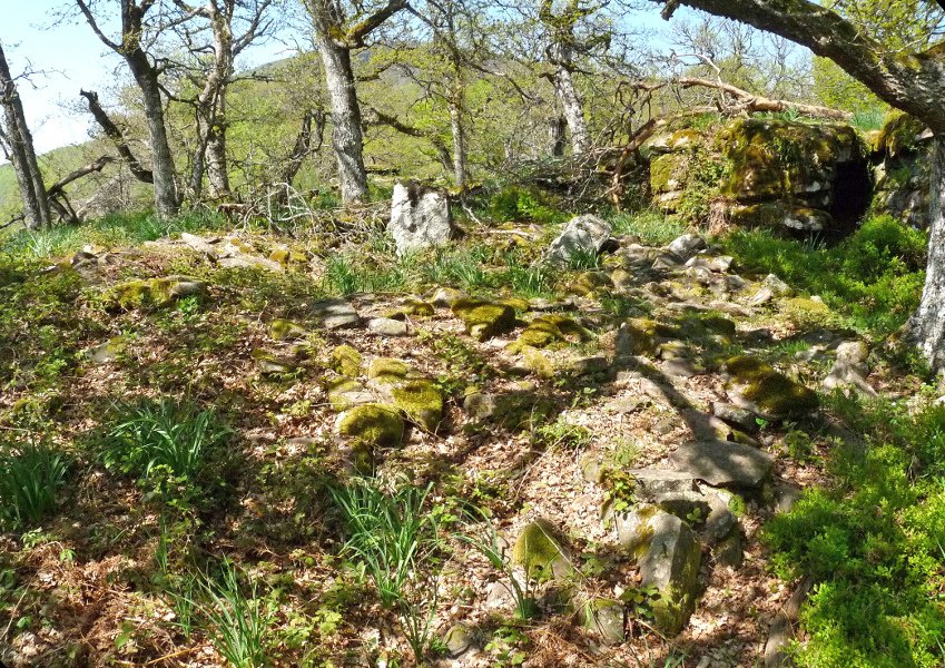 Etxoltxarraldea 2 ekialde