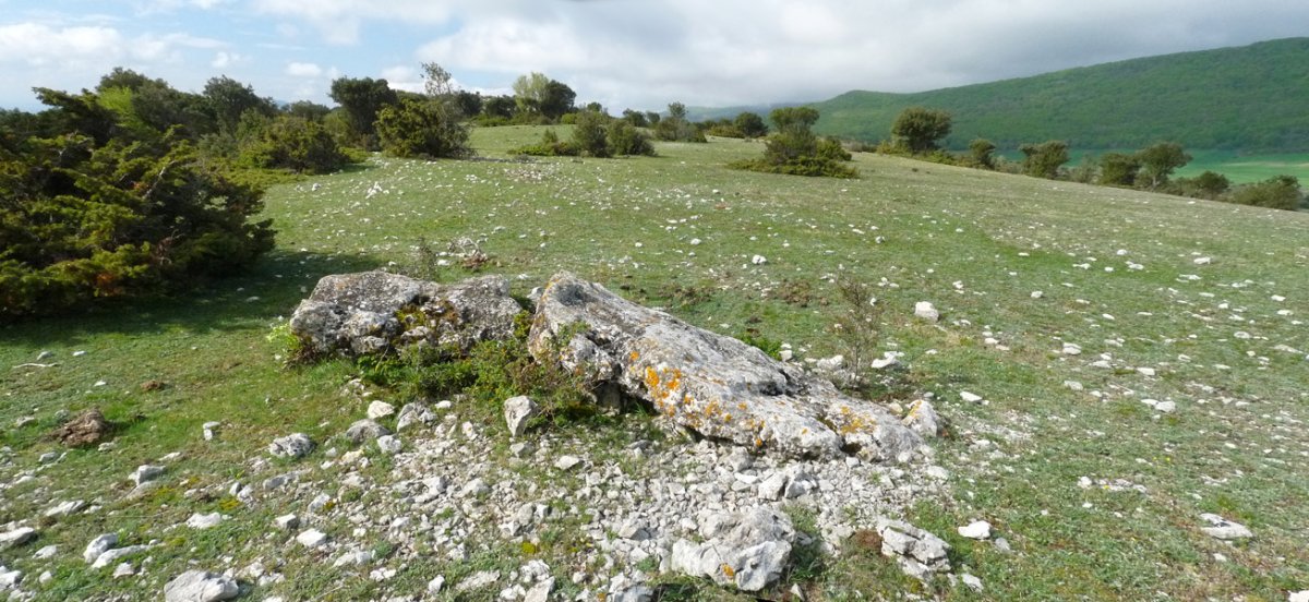 La Planillako zutarria