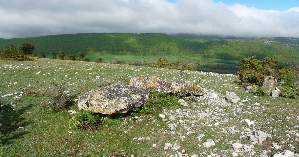 La Planillako zutarria