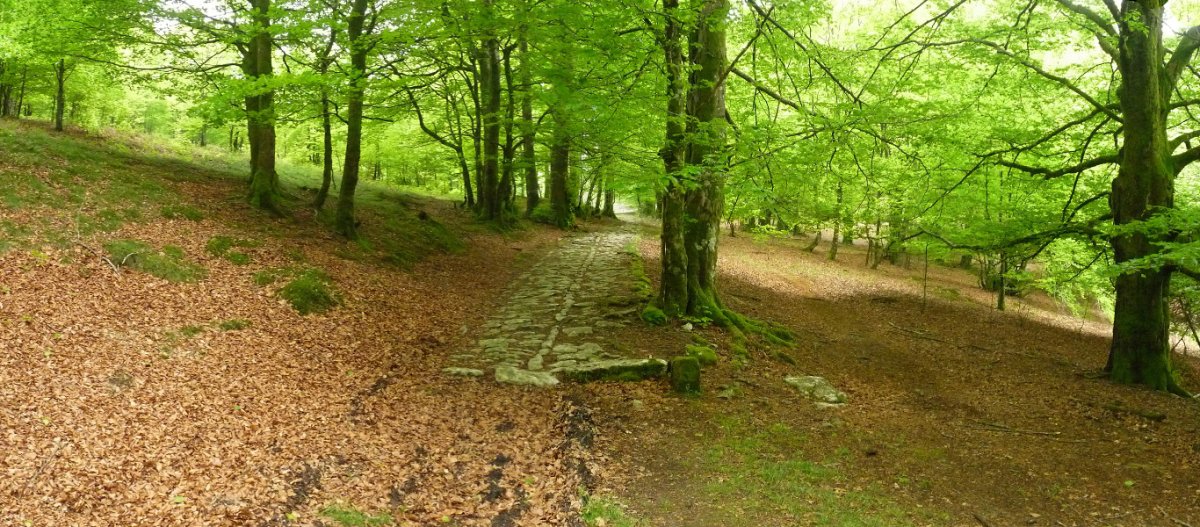 Eltzaburuko galtzada