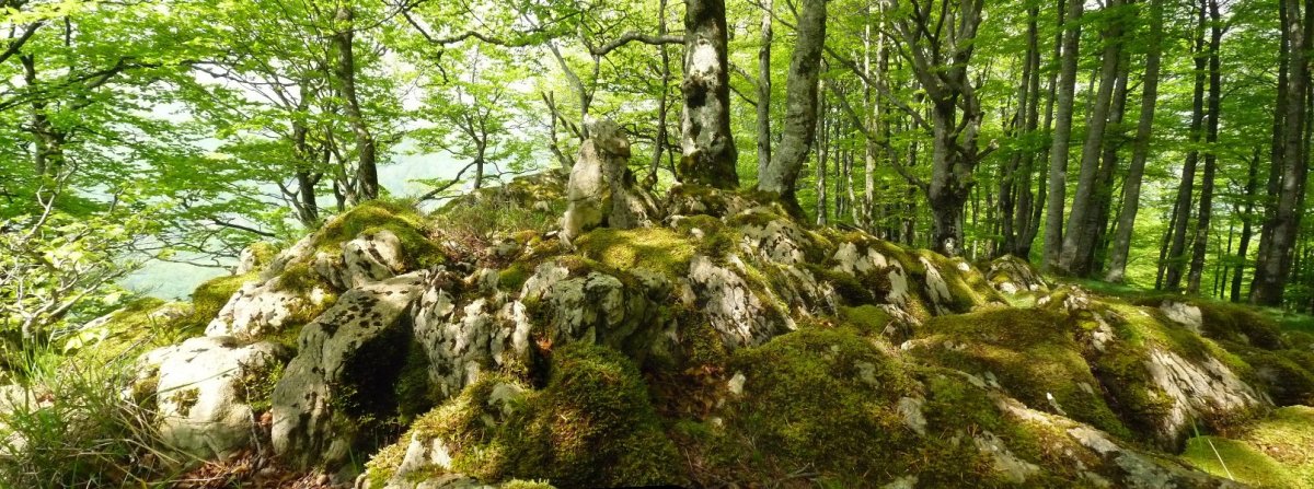 Armaltxuriko gailurra