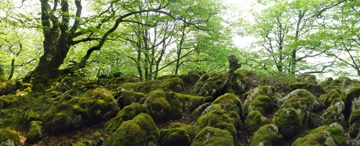 Armaltxuriko gailurra