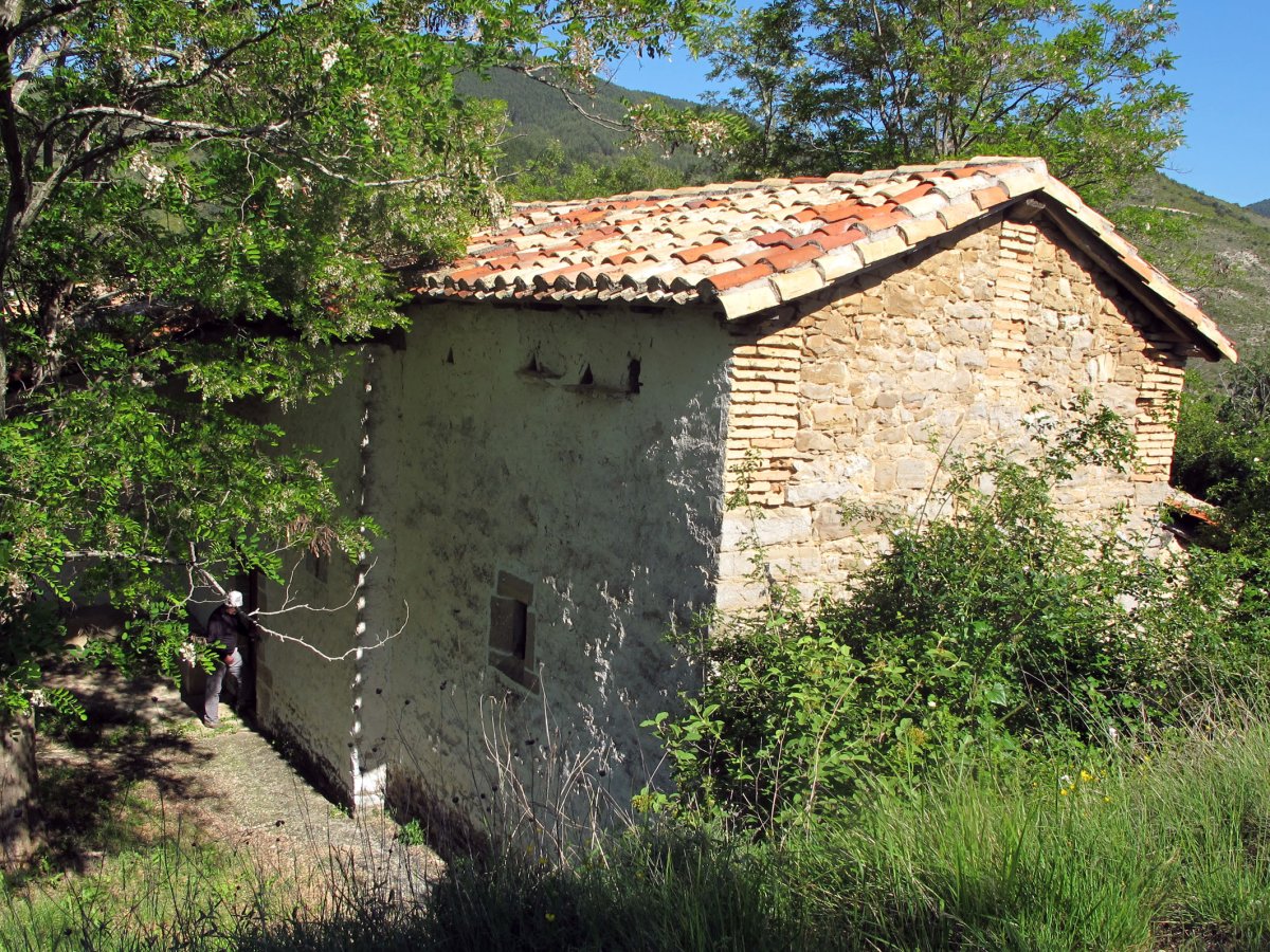 Ermingo ermita Zabaldika inguruan