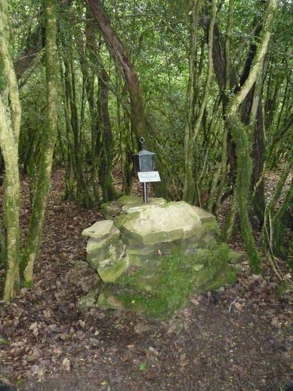 Pagadiko gailur itxia