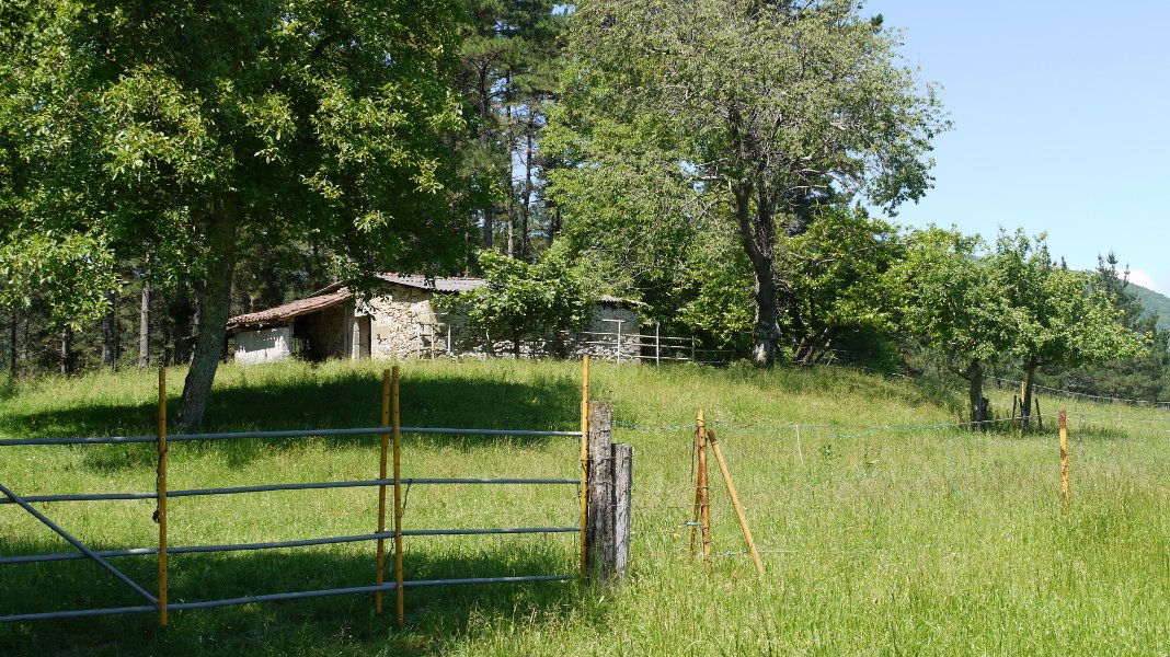 San Bixenti ermita Markina aldean