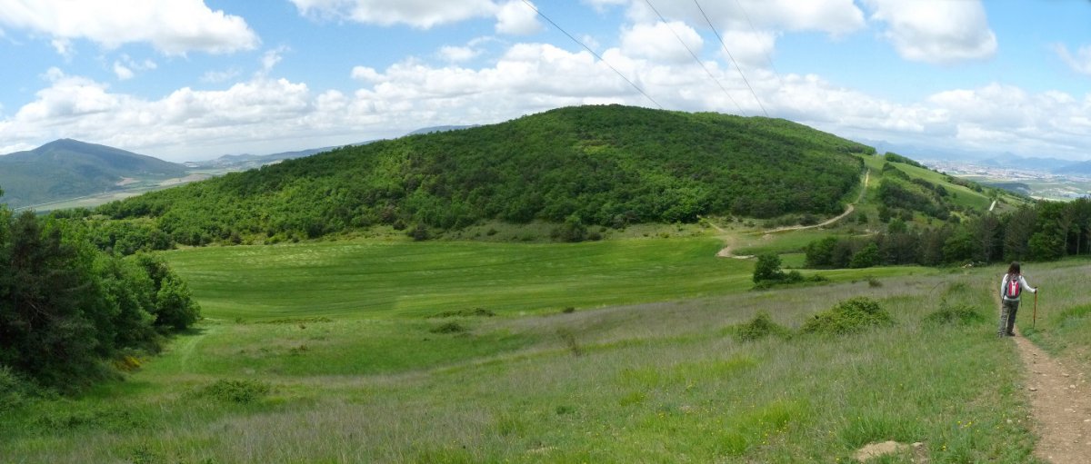 Andrikaingo harratea