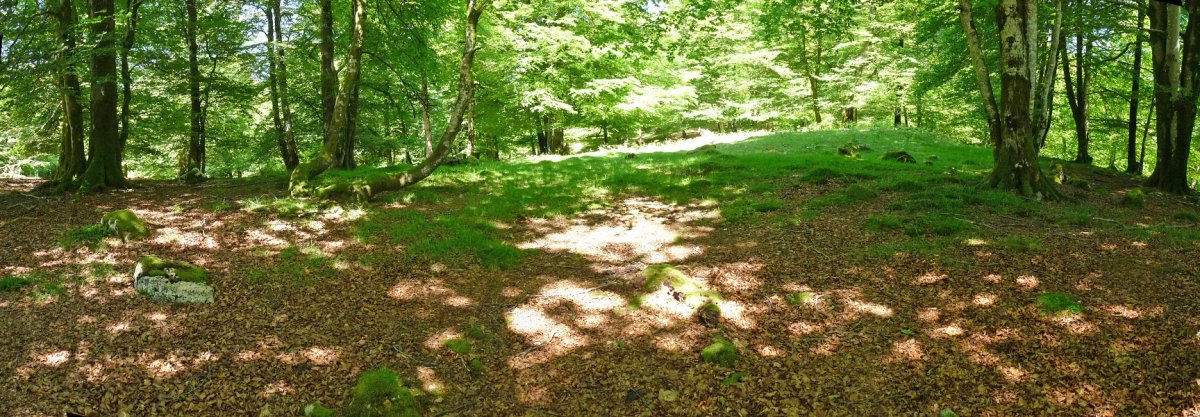 Bidakorriko lepoa C1 harrespila