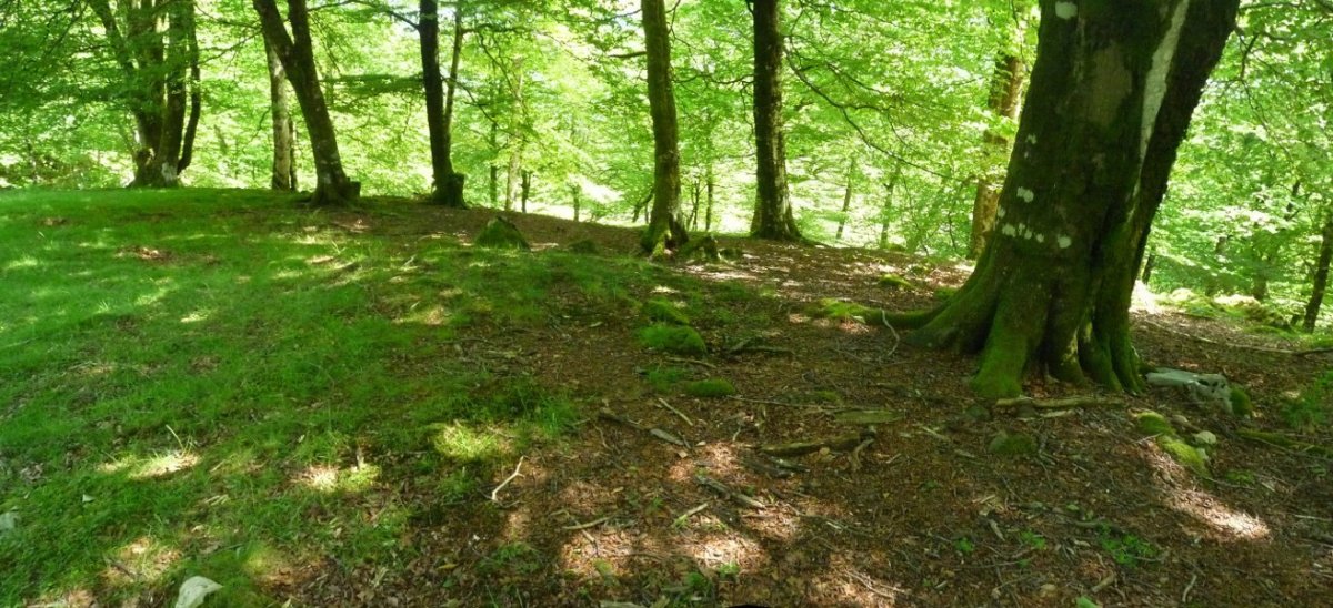 Bidakorriko lepoa C3