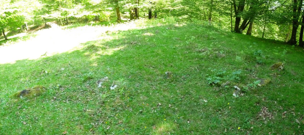 Bidakorriko lepoa C4