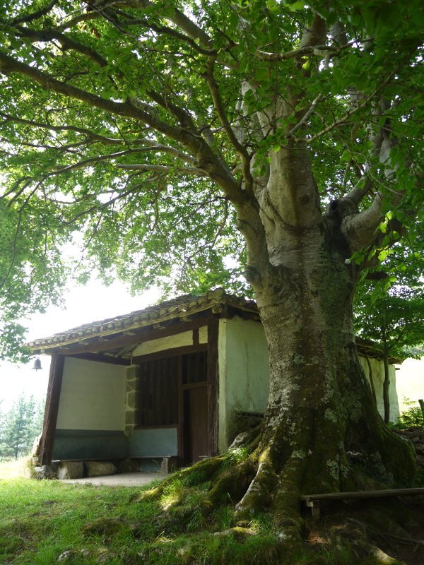 Aingeru Guardakoaren ermita Markina aldean