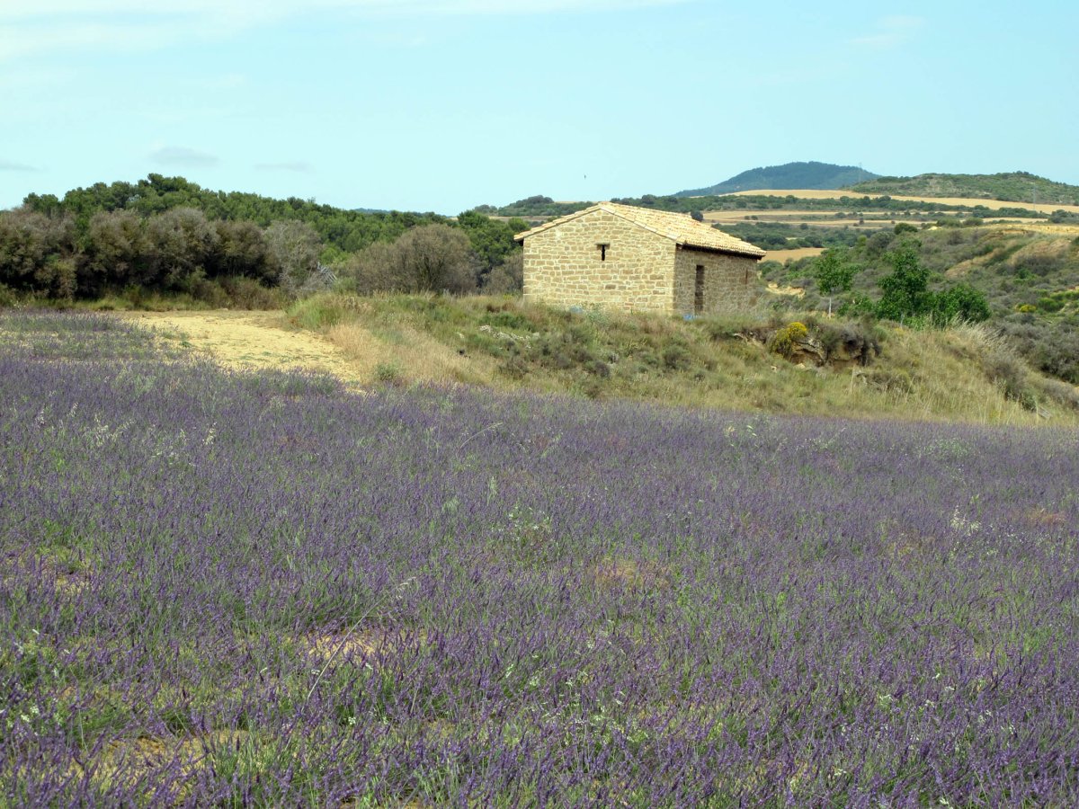 San Quirico ermita Puiu aldean