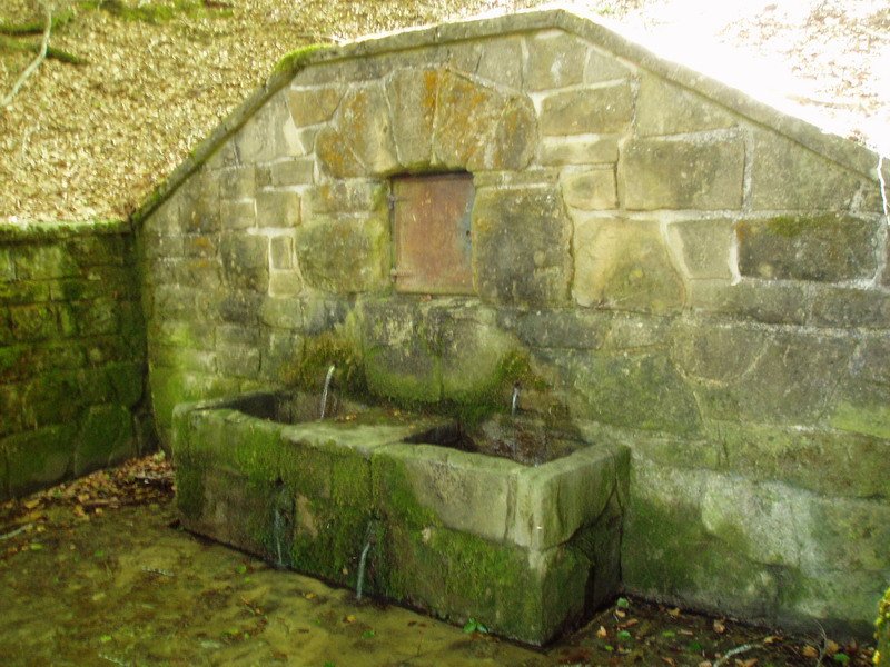 Los Mosquitos iturria