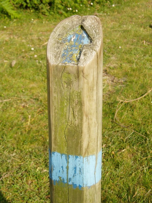 Bidea horrelako seinaleek adierazten dute