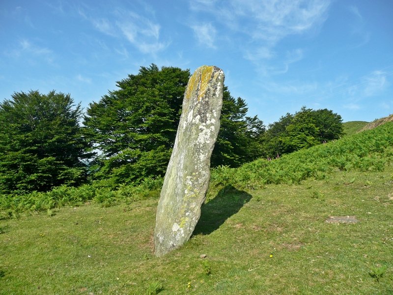 Iruñarriko Zutarria