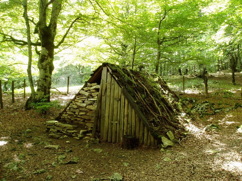 Ikazkinen txabola bat