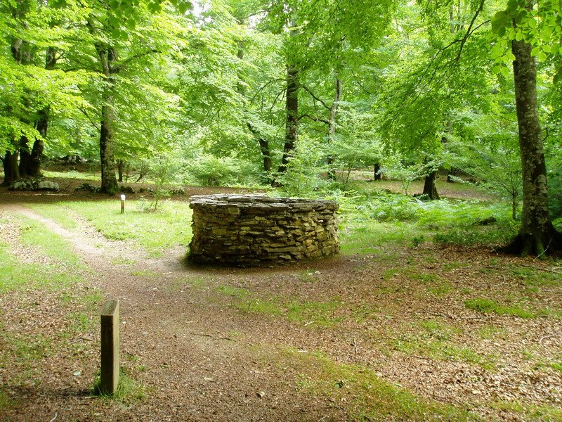 Harrizko hesi batez batestutako leizea