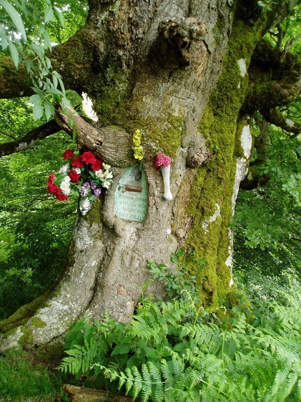 Ama Birjinaren pagoa