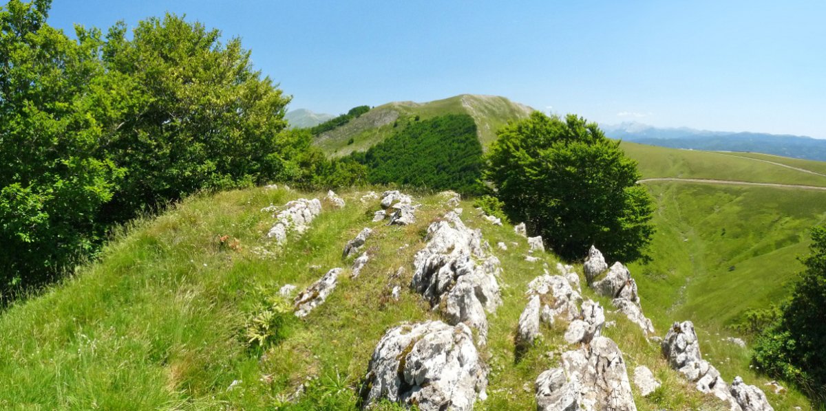 Goñiburutxikiko gailurra