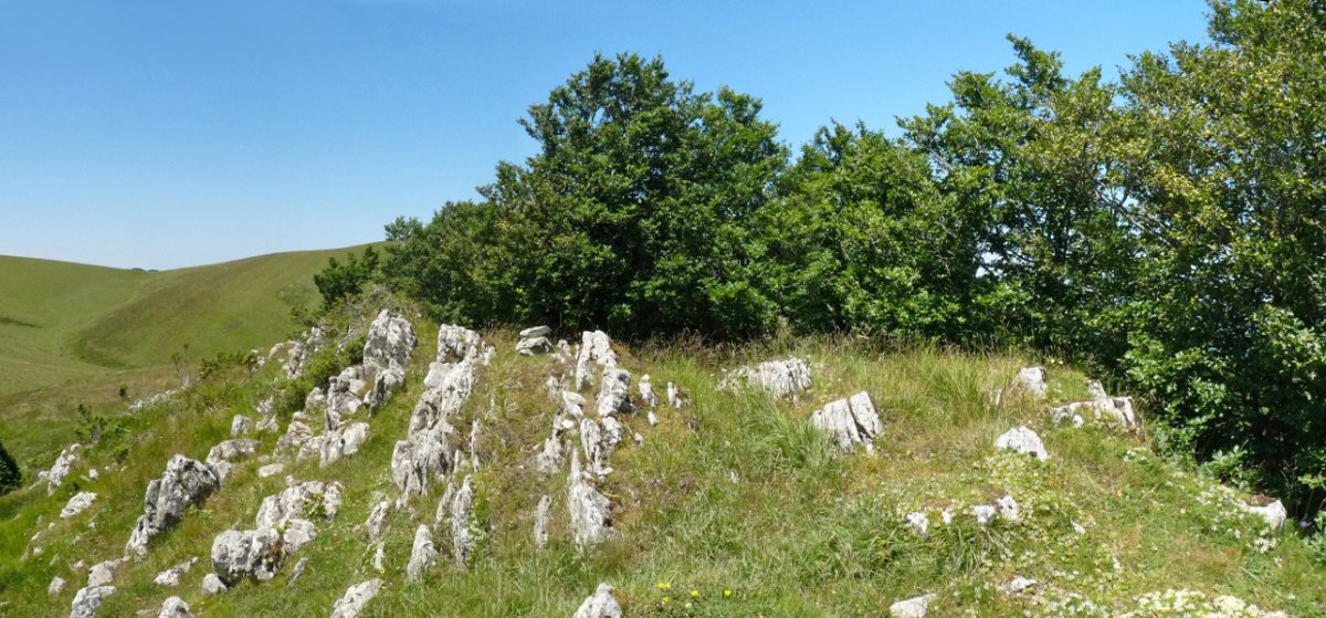 Goñiburutxikiko gailurra