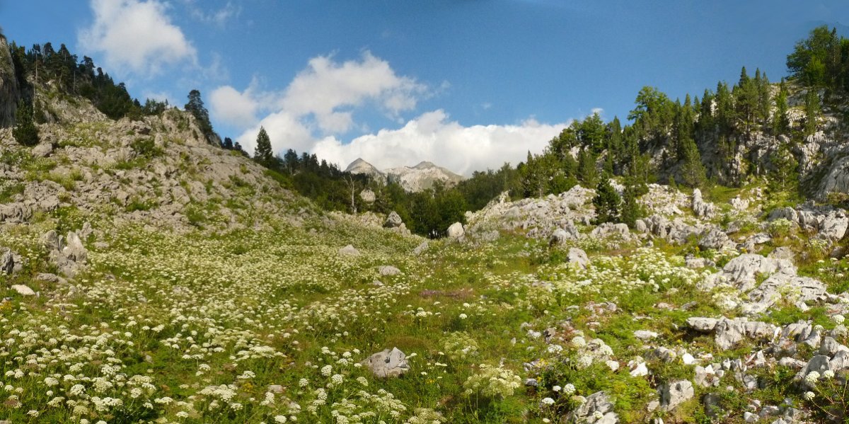Belagoako txokoko bidea toki zoragarrietan barrena