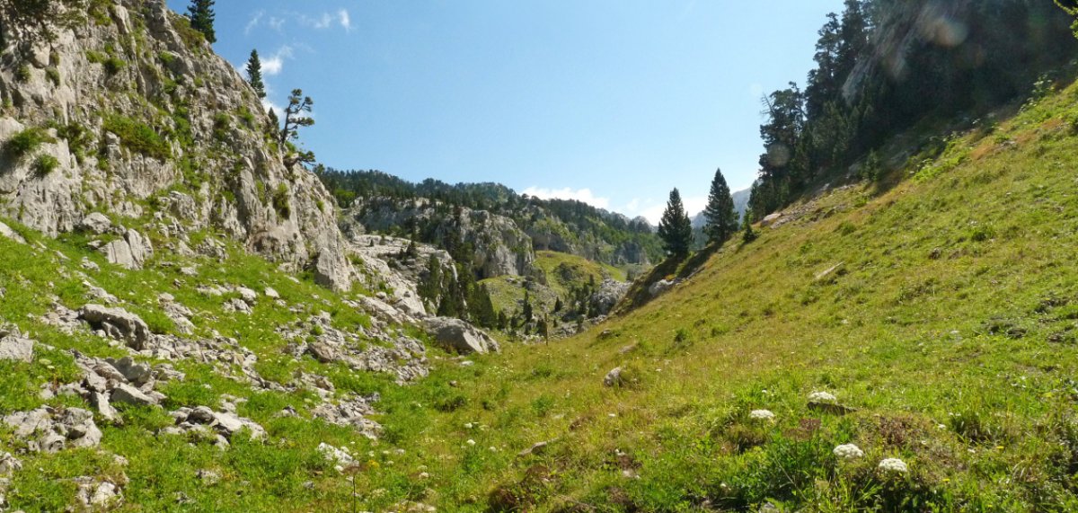 Ukerdiko erreserba osoa