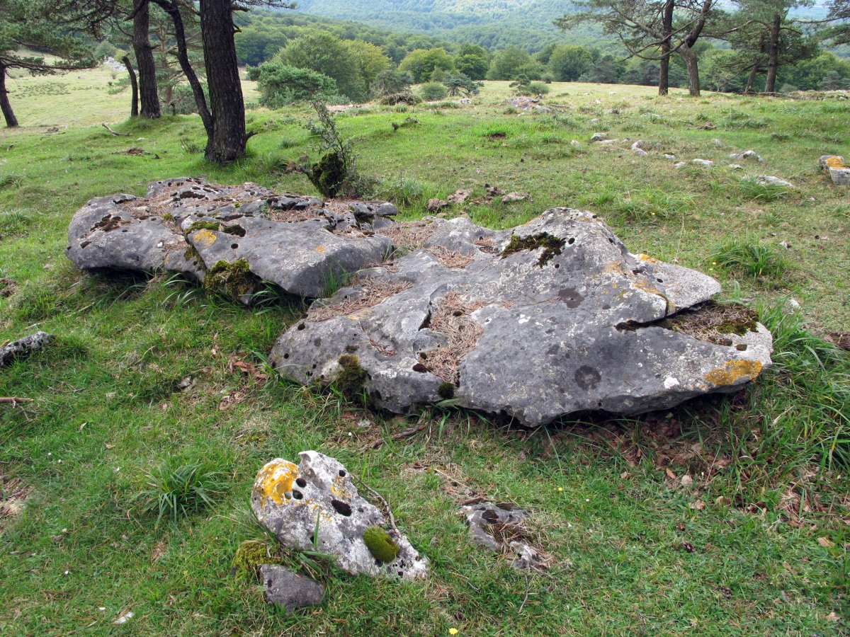 Santa Marina zutarria