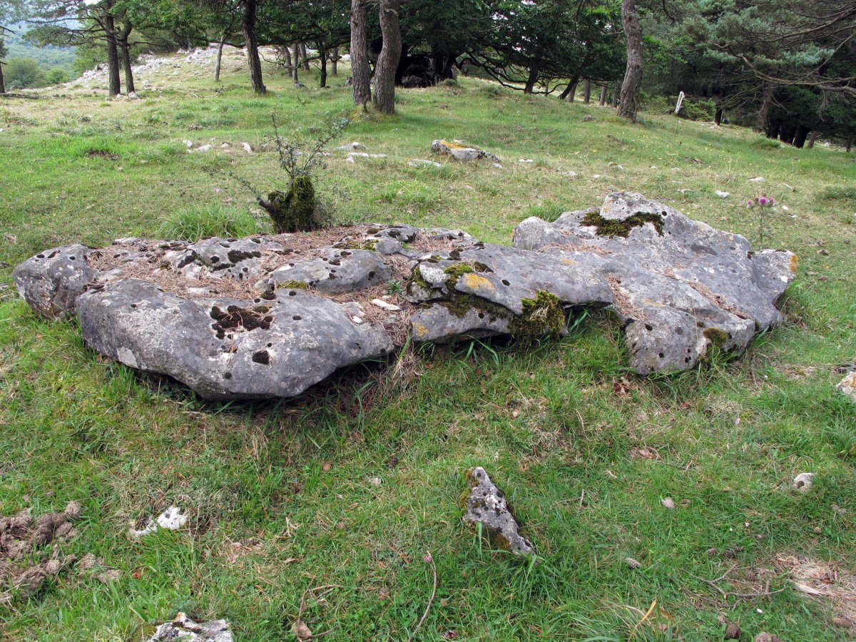 Santa Marina zutarria