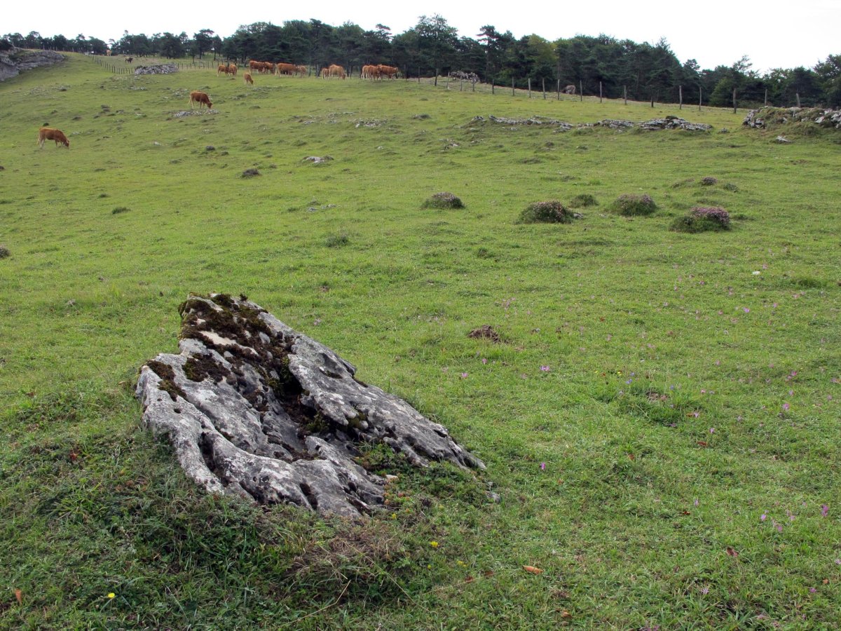 Urdiaingo Portua zutarria