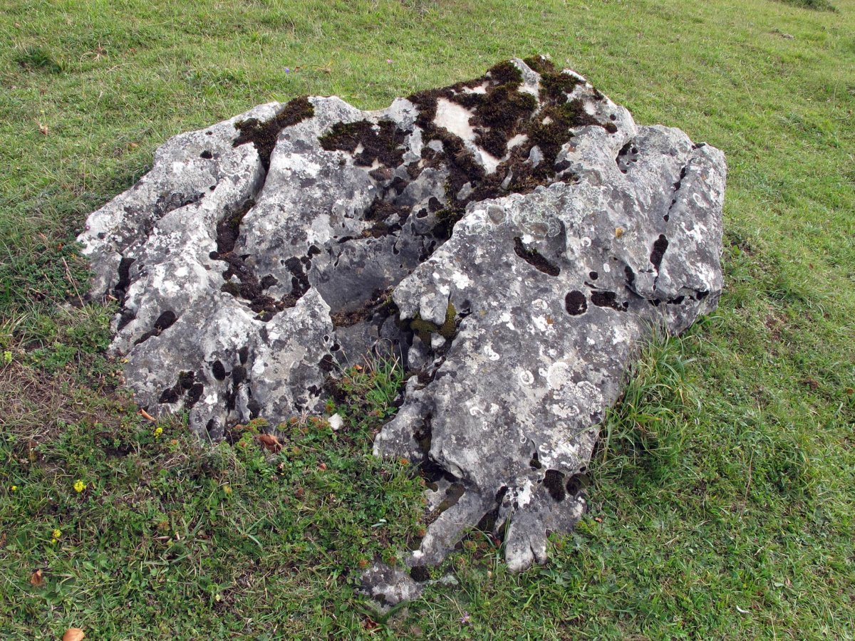 Urdiaingo Portua zutarria