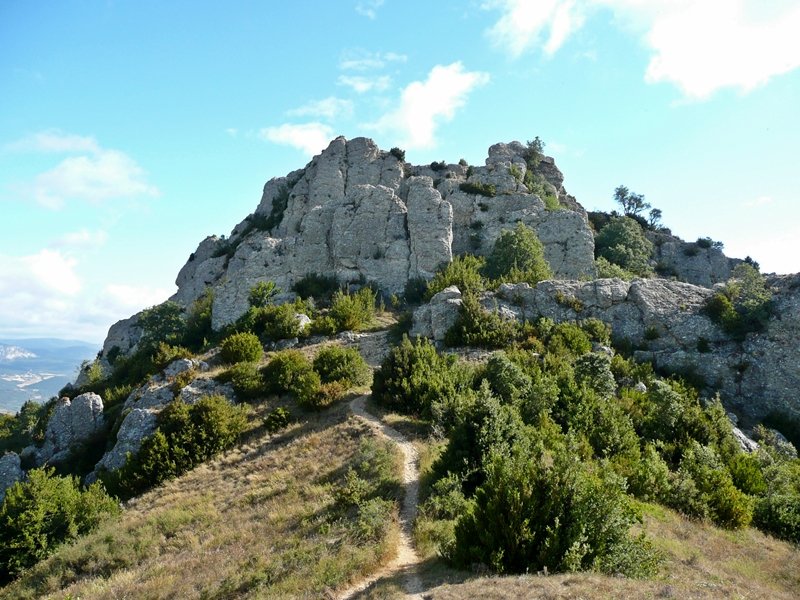 Buzoidun Tontorra Antenadun Tontorretik