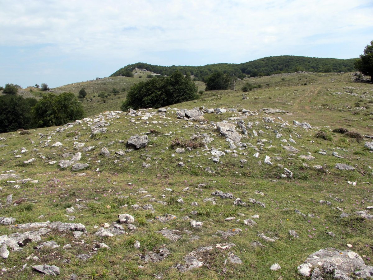 Santa Marina trikuharria