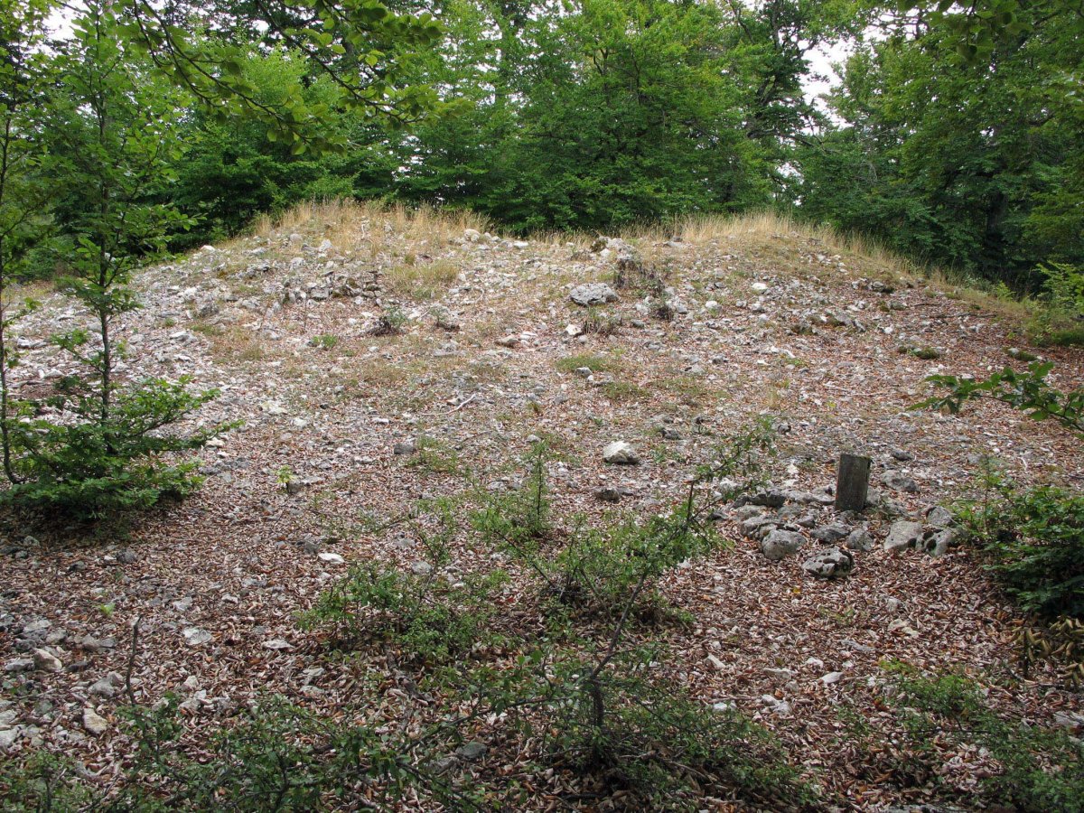 Puerto Viejo de Baquedano 1 Ipar