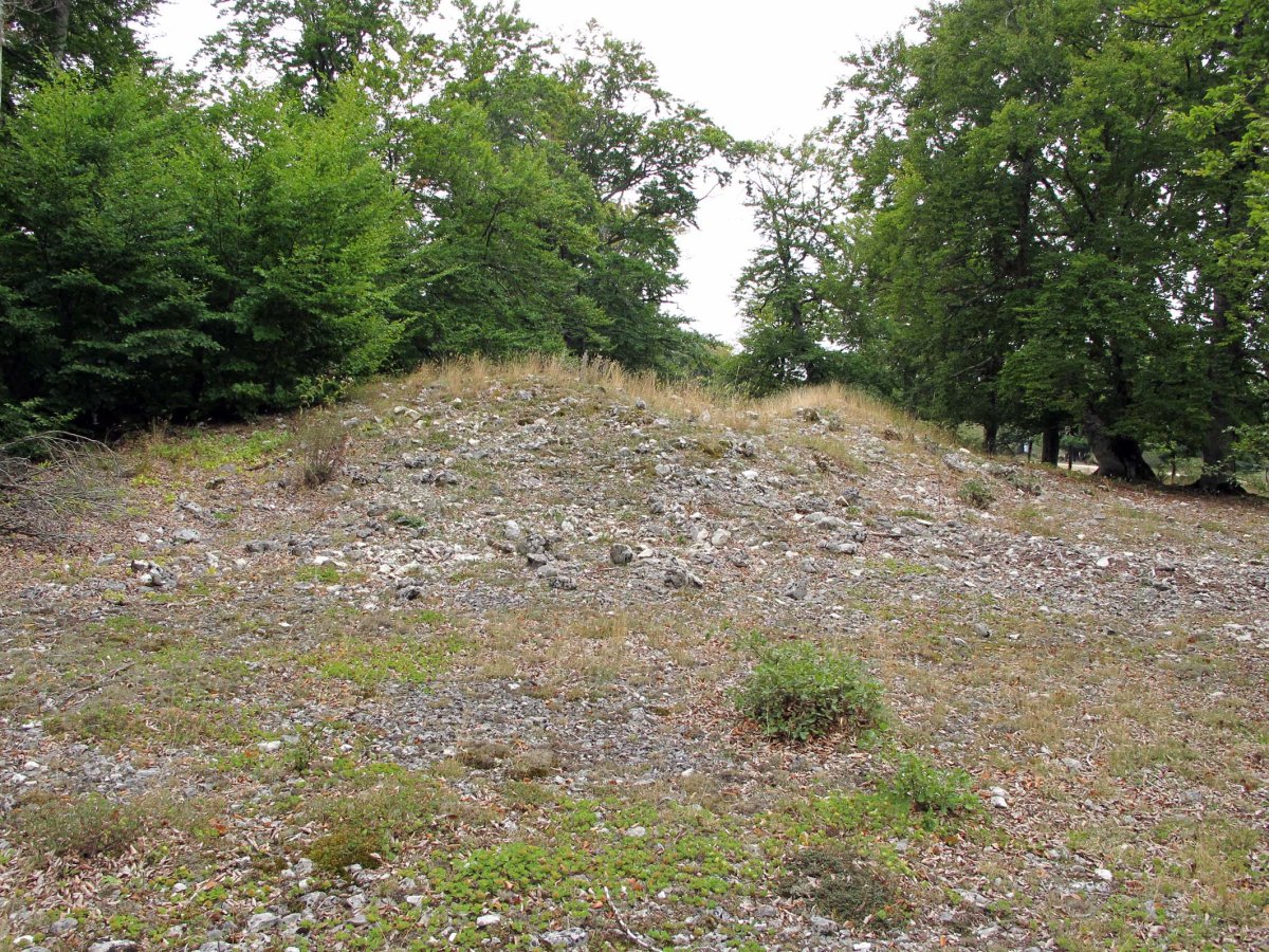 Puerto Viejo de Baquedano 1 Ipar