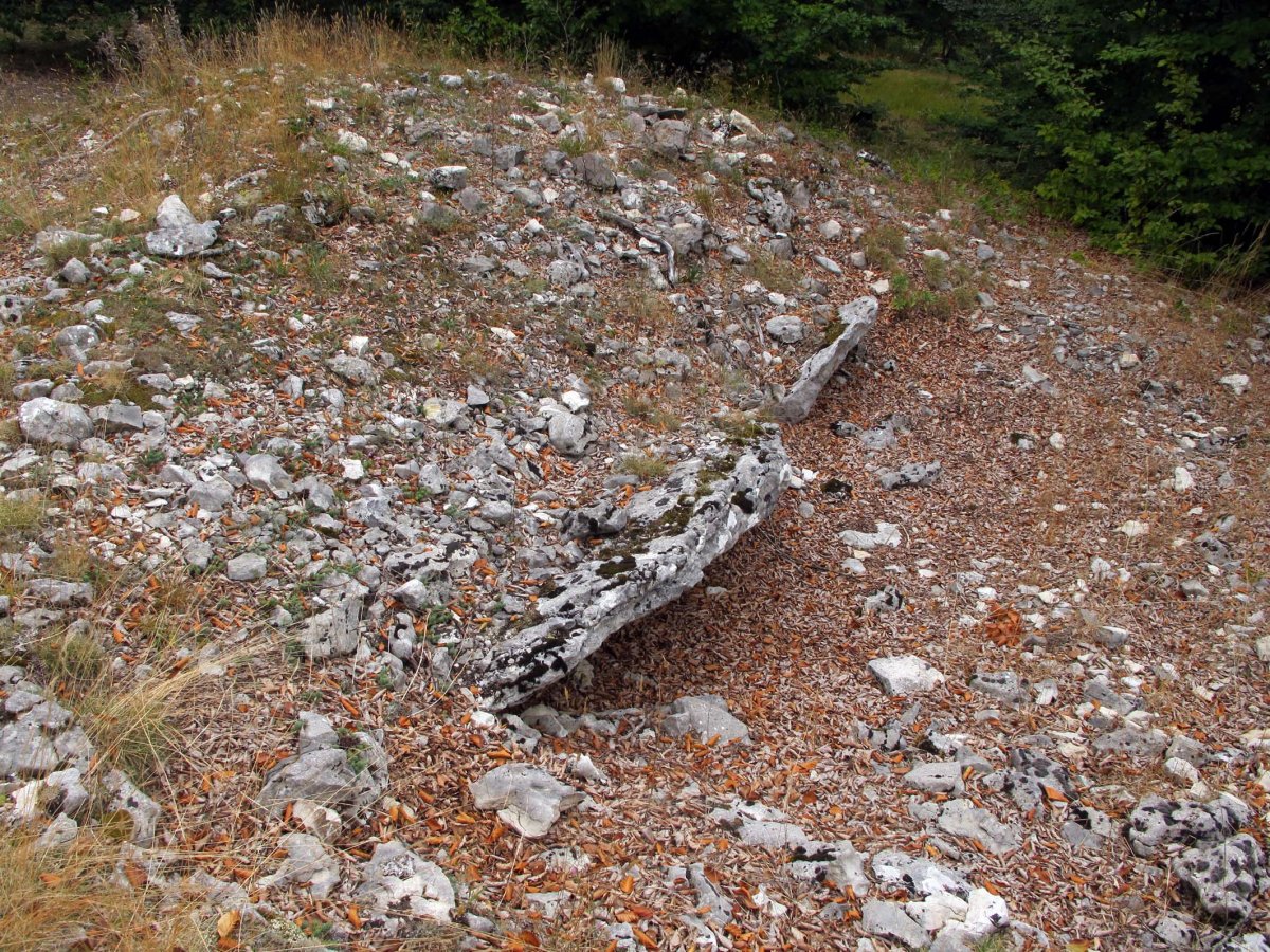 Puerto Viejo de Baquedano 1 Ipar