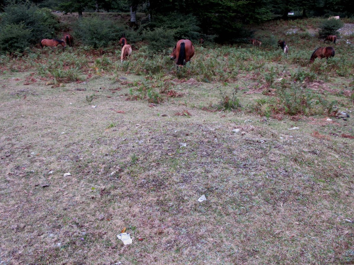 Otsaportilloko Bidegurutzea