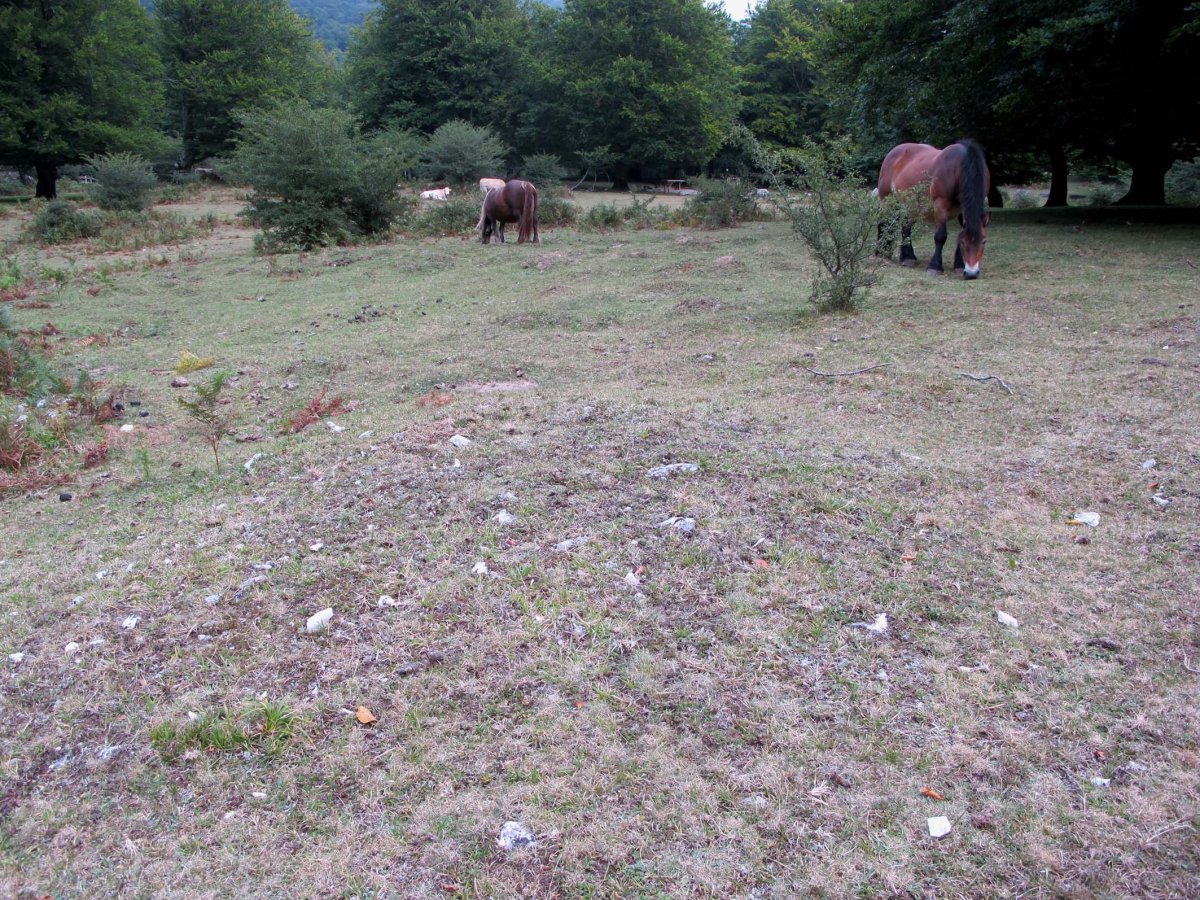 Otsaportilloko Bidegurutzea