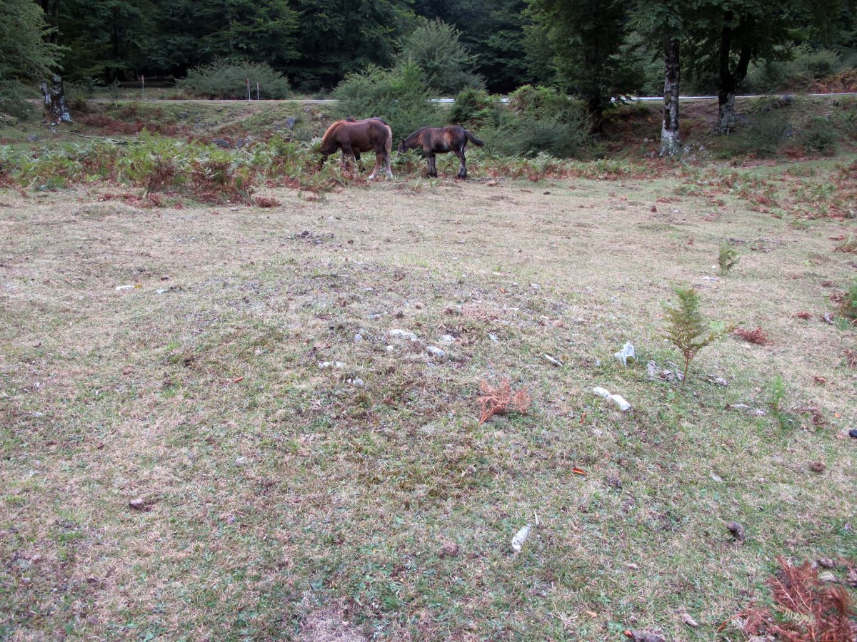 Otsaportilloko Bidegurutzea