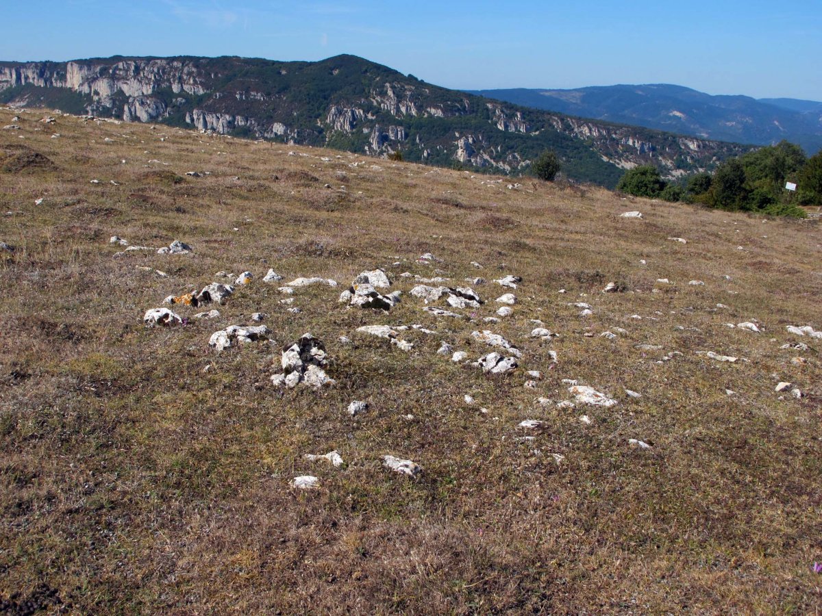 REGALBAR 2 mendebal tumulua