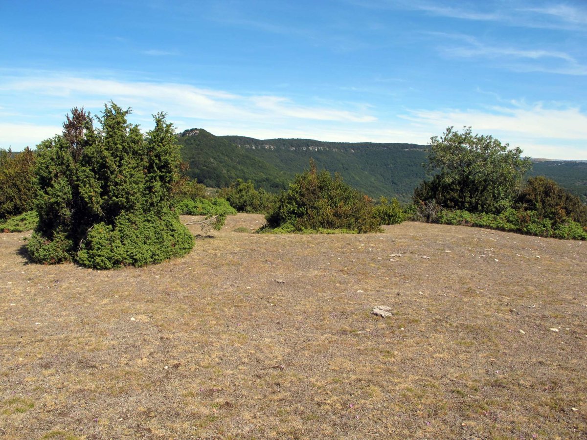 SANGRIS eraztun-tumulua