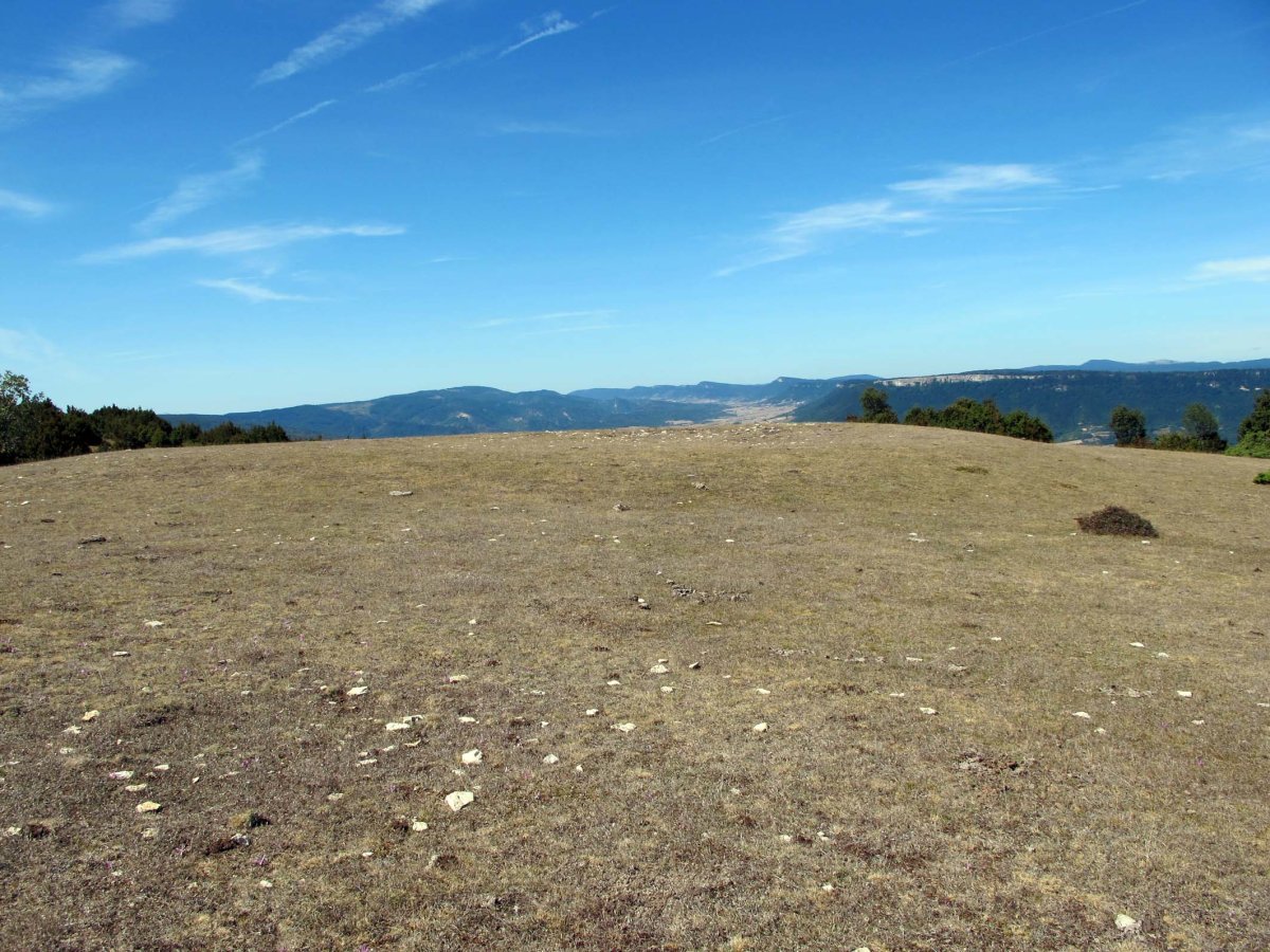 Iturza eraztun-tumulua